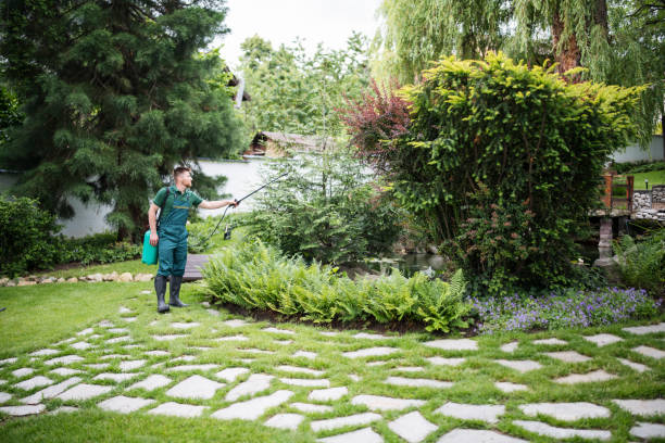Best Best Pest Control Companies  in Halsey, OR