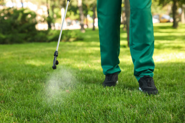 Best Pest Control Cost  in Halsey, OR