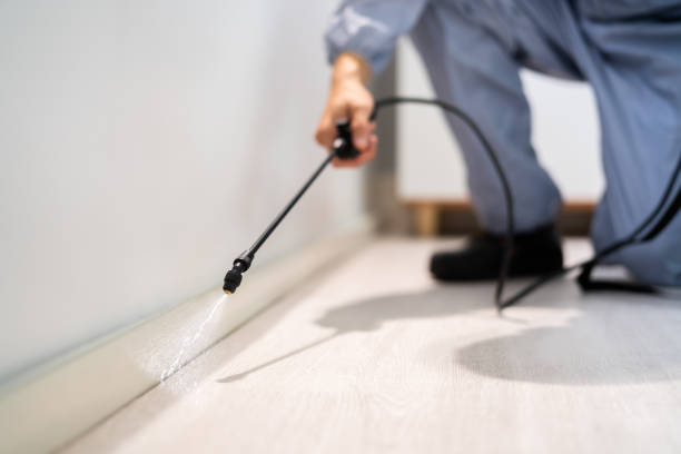 Best Cockroach Control Services  in Halsey, OR