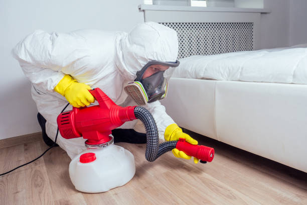 Best Affordable Pest Control Services  in Halsey, OR
