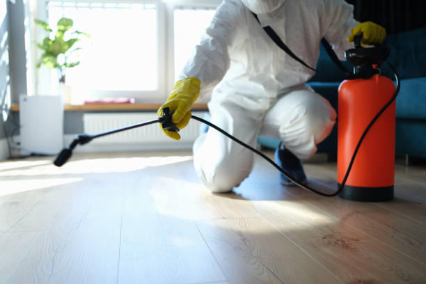 Best Best Pest Control Companies  in Halsey, OR