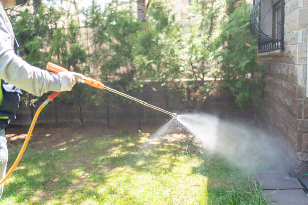 Best Flea Control Services  in Halsey, OR