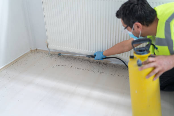 Best Residential Pest Control  in Halsey, OR