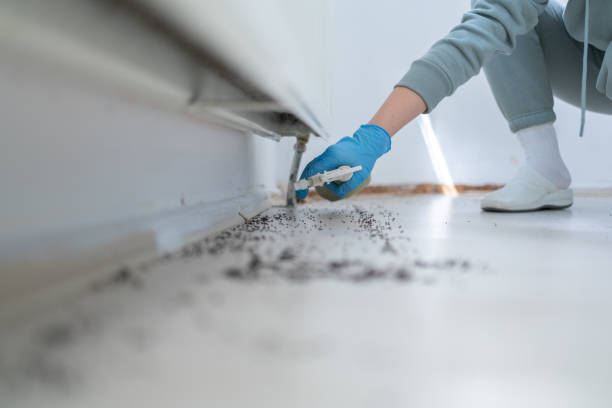 Best Mosquito Control Services  in Halsey, OR