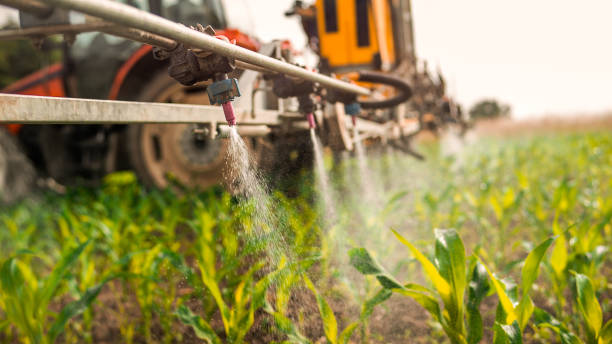 Best Mosquito Control Services  in Halsey, OR